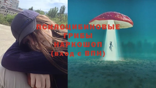 шишки Аркадак