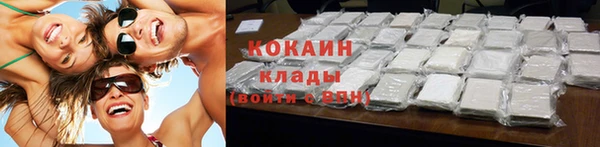 ГАЛЛЮЦИНОГЕННЫЕ ГРИБЫ Пересвет