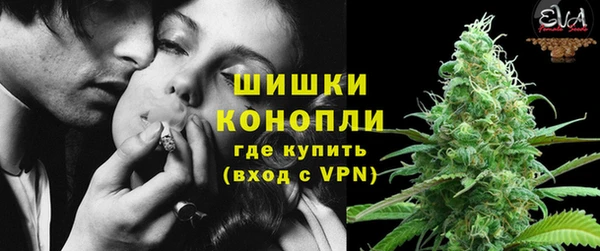 шишки Аркадак