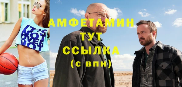 шишки Аркадак