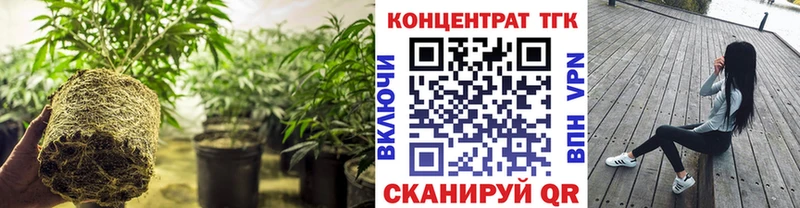 цена Багратионовск Дистиллят ТГК Wax