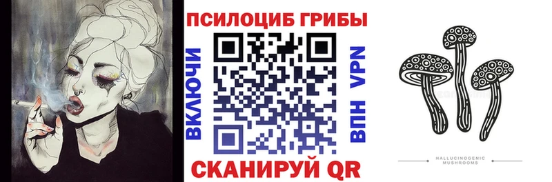 Псилоцибиновые грибы MAGIC MUSHROOMS  купить закладку  нарко площадка официальный сайт  Багратионовск 